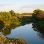 Речка Омуть. Рыбалка детства