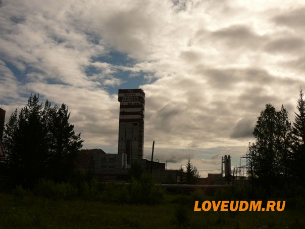 P1160761 копия