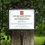 Старинная липа в усадьбе Чайковских